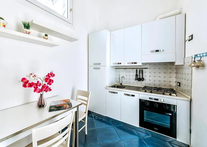 Domus