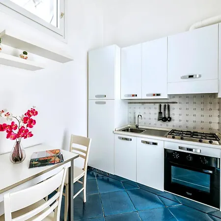 Domus